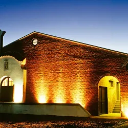 Viñedo Bouza - Canelones