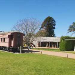 Viñedo Bouza - Canelones