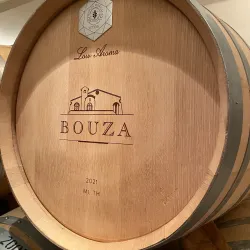 Viñedo Bouza - Canelones