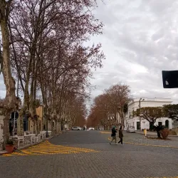 Barrio Histórico - Colonia