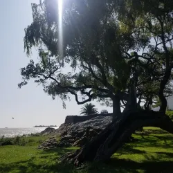 Casa de Nacarello - Colonia