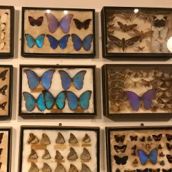 Museo Municipal - Colonia