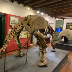 Museo Municipal - Colonia