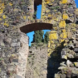 Museo Portugués - Colonia