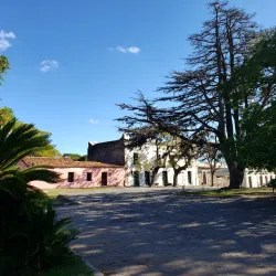 Plaza Mayor - Colonia