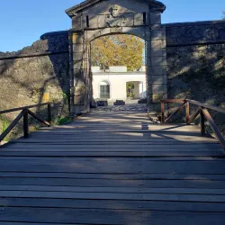 Plaza Mayor - Colonia