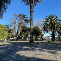 Plaza Mayor - Colonia