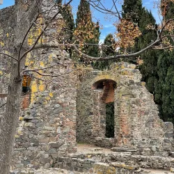 Plaza Mayor - Colonia