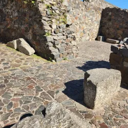 Portón de Campo - Colonia