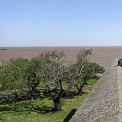 Portón de Campo - Colonia