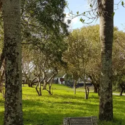 Parque Municipal de Florida - Florida