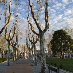 Plaza de los 33 Orientales - Florida