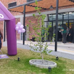 Mercado Municipal de Fray Bentos - Fray Bentos