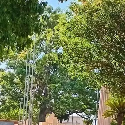 Plaza Artigas - Fray Bentos