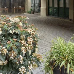 Ciudad Vieja (Old Town) - Montevideo