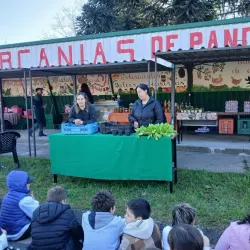 Mercado Municipal de Pando - Pando