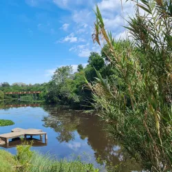 Parque Artigas - Pando