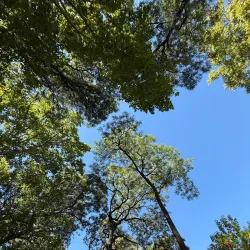 Parque Artigas - Pando