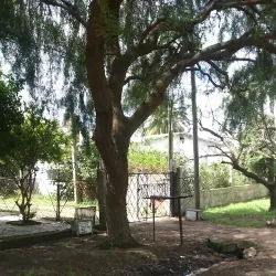 Plaza Artigas - Pando