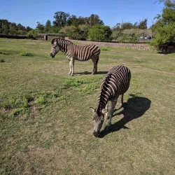 Parque Lecocq - Paysandú