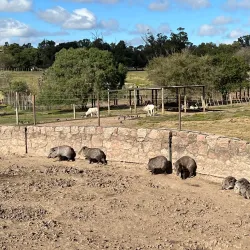 Parque Lecocq - Paysandú