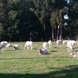 Parque Lecocq - Paysandú
