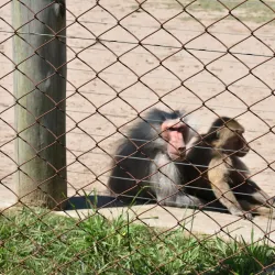 Parque Lecocq - Paysandú