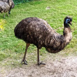 Parque Lecocq - Paysandú