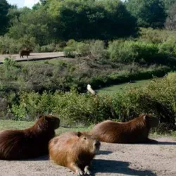 Parque Lecocq - Paysandú