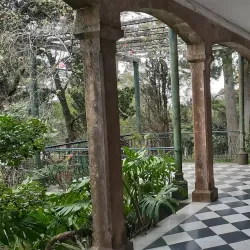 Arboretum Lussich - Punta del Este