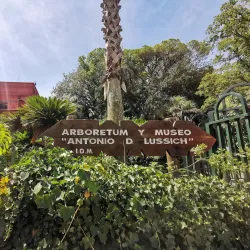 Arboretum Lussich - Punta del Este