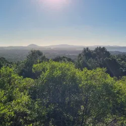 Arboretum Lussich - Punta del Este