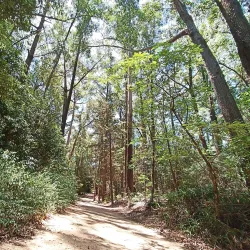 Arboretum Lussich - Punta del Este