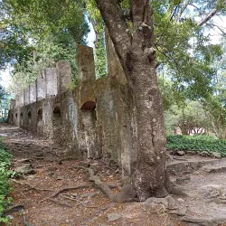 Arboretum Lussich - Punta del Este