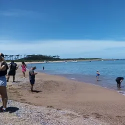Isla Gorriti - Punta del Este