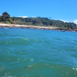 Isla Gorriti - Punta del Este