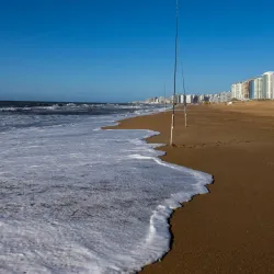 Playa Brava - Punta del Este