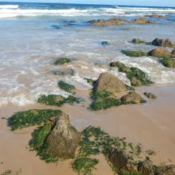 Playa Brava - Punta del Este