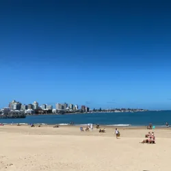 Playa Mansa - Punta del Este