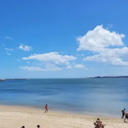 Playa Mansa - Punta del Este