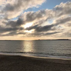 Playa Mansa - Punta del Este