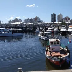 Puerto de Punta del Este - Punta del Este