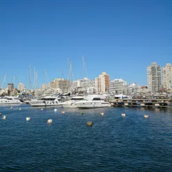 Puerto de Punta del Este - Punta del Este