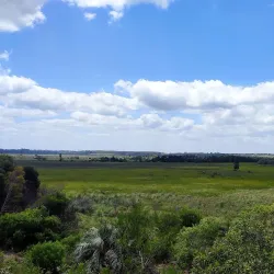 Parque Lecocq - Rivera