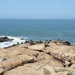 Cabo Polonio National Park - Rocha
