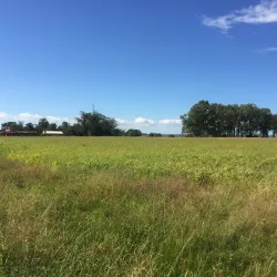 Laguna de Castillos - Rocha