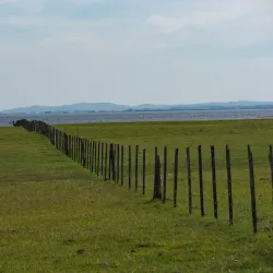 Laguna de Castillos - Rocha