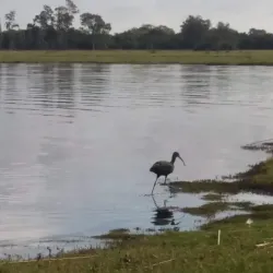 Laguna de Castillos - Rocha