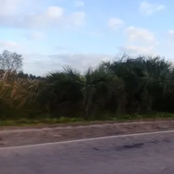 Laguna de Castillos - Rocha