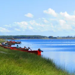 Laguna de Rocha - Rocha